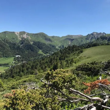 Superbe T2 Au Centre Du Mont-dore Avec Wifi, Proche Thermes Et Navette - Fr-1-608-216 Apartment